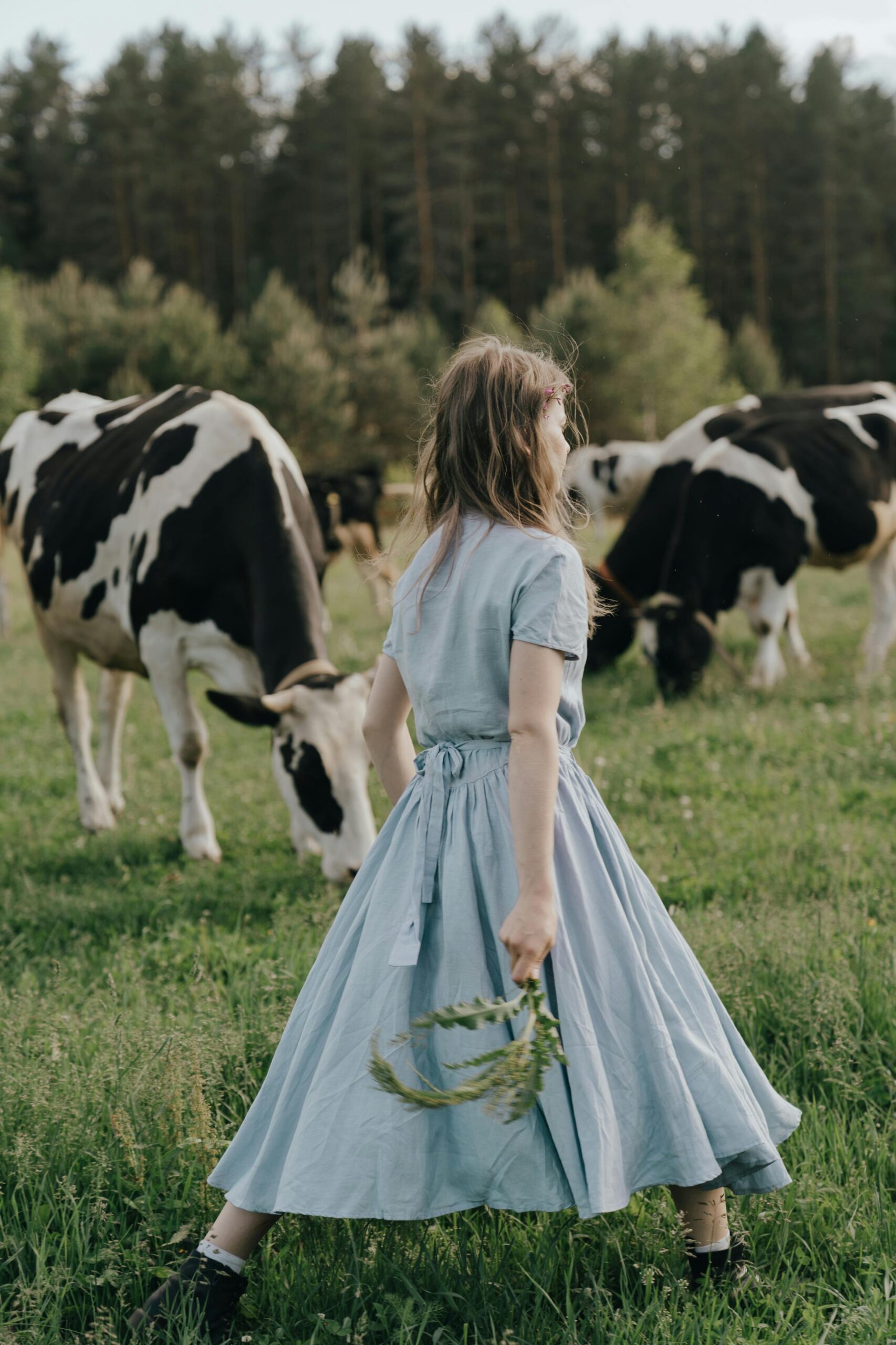 A girl in a blue dress with cows in a lush green pasture during summer.